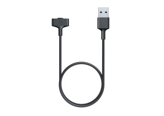Ionic charging cable