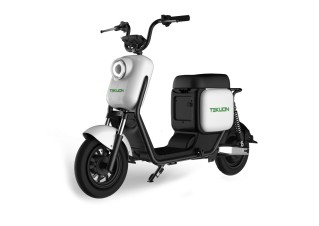 Scooter eléctrica de 1000W TEKUON Q3